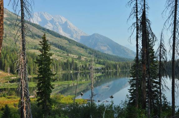 Paisagem matutina no Grand Teton National Park, no Wyoming, nos Estados Unidos